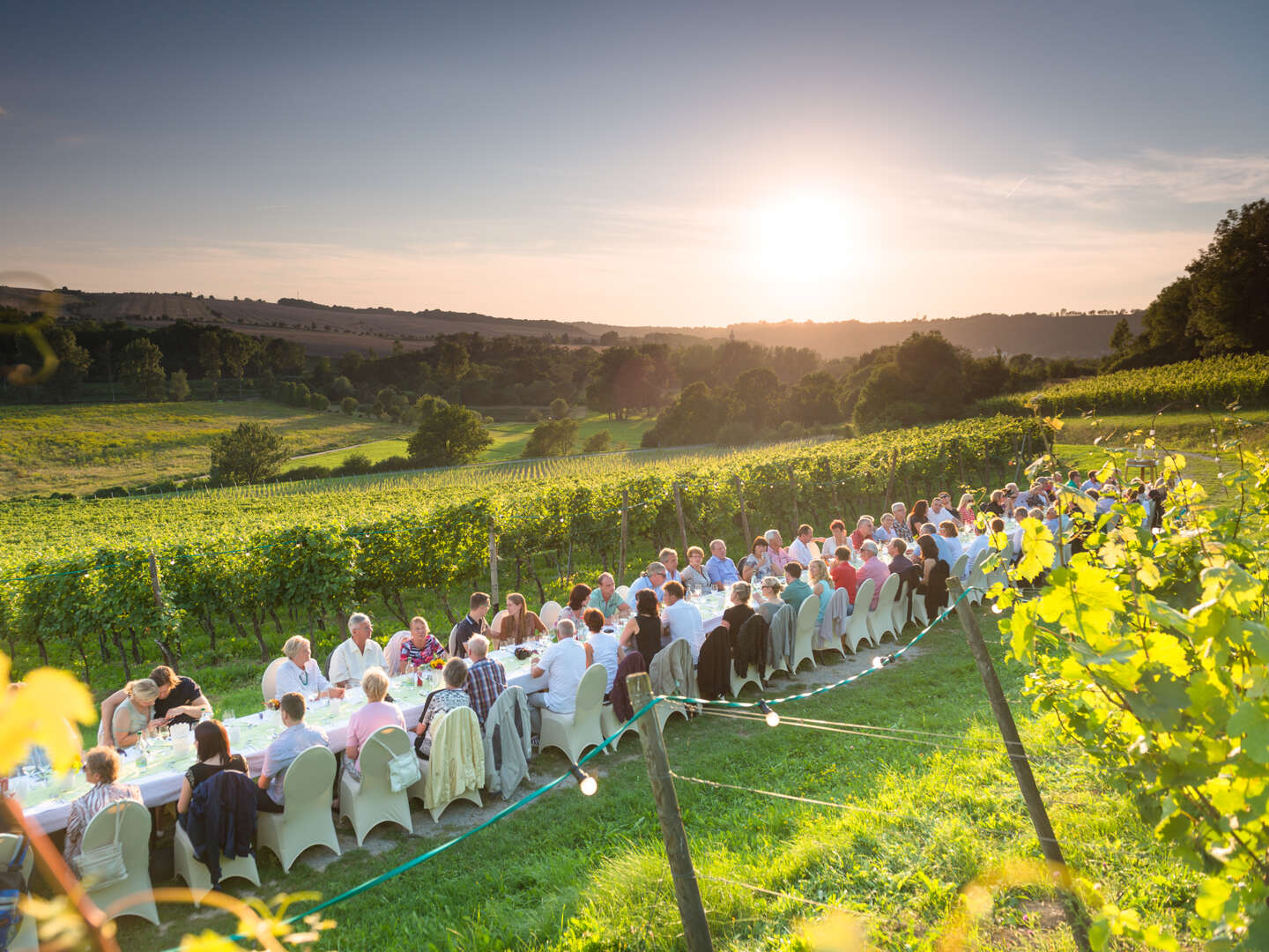 4 Tage Drahtesel - Die Weinregion Saale-Unstrut mit dem Rad