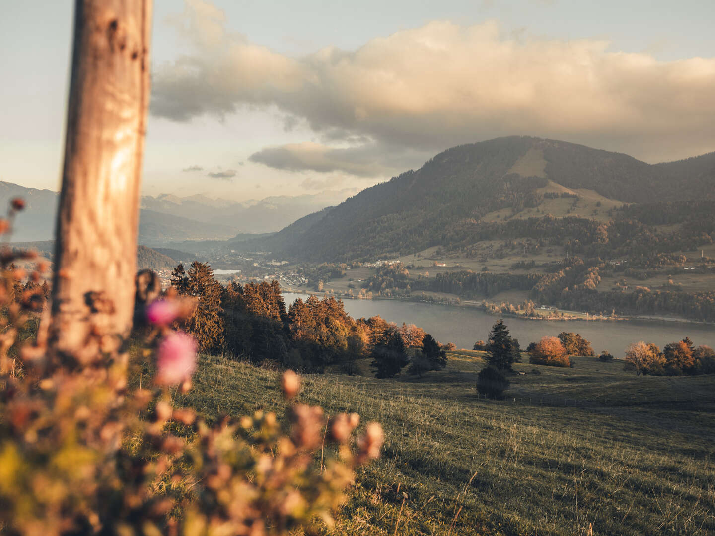 6 Tage Kurzurlaub - Auszeit vom Alltag  mit 5 Übernachtungen