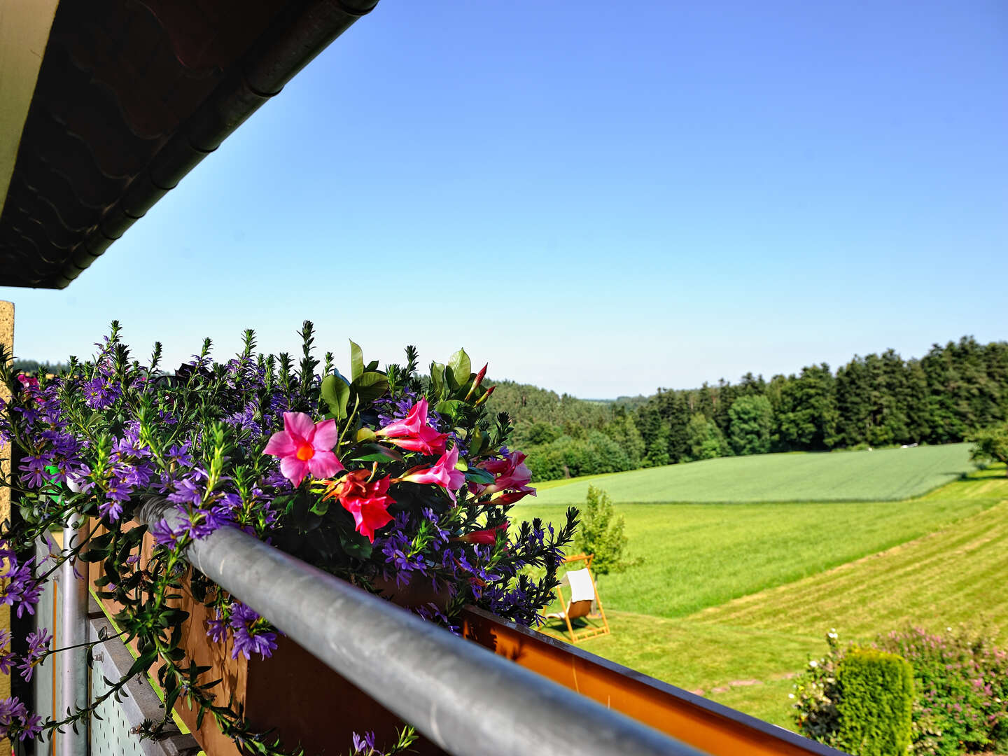 Einmal Probiert für immer verführt - Schwarzwald inkl. Wellness