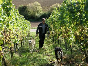 6 Tage Kurzurlaub - Auszeit auf dem Weingut mit Picknick im Himmelreich