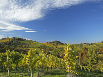 Fasten & Wandern in der herbstlichen Südsteiermark