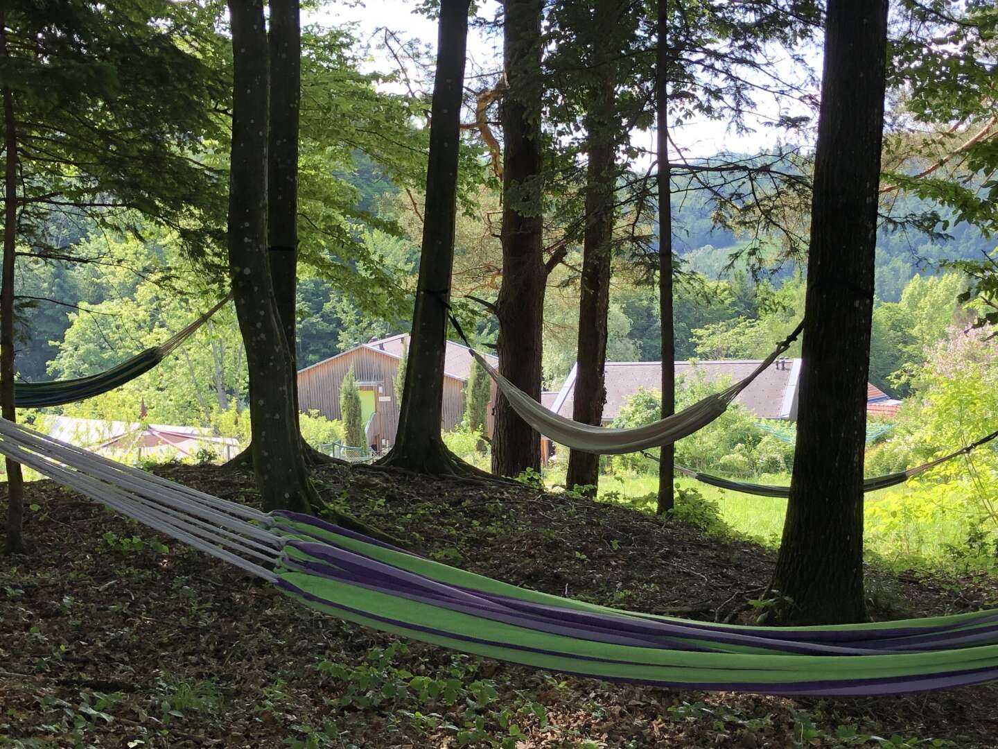 Natur pur: Erholsame Auszeit im steirischen Retreathotel inkl. veganer Halbpension | 3 Nächte