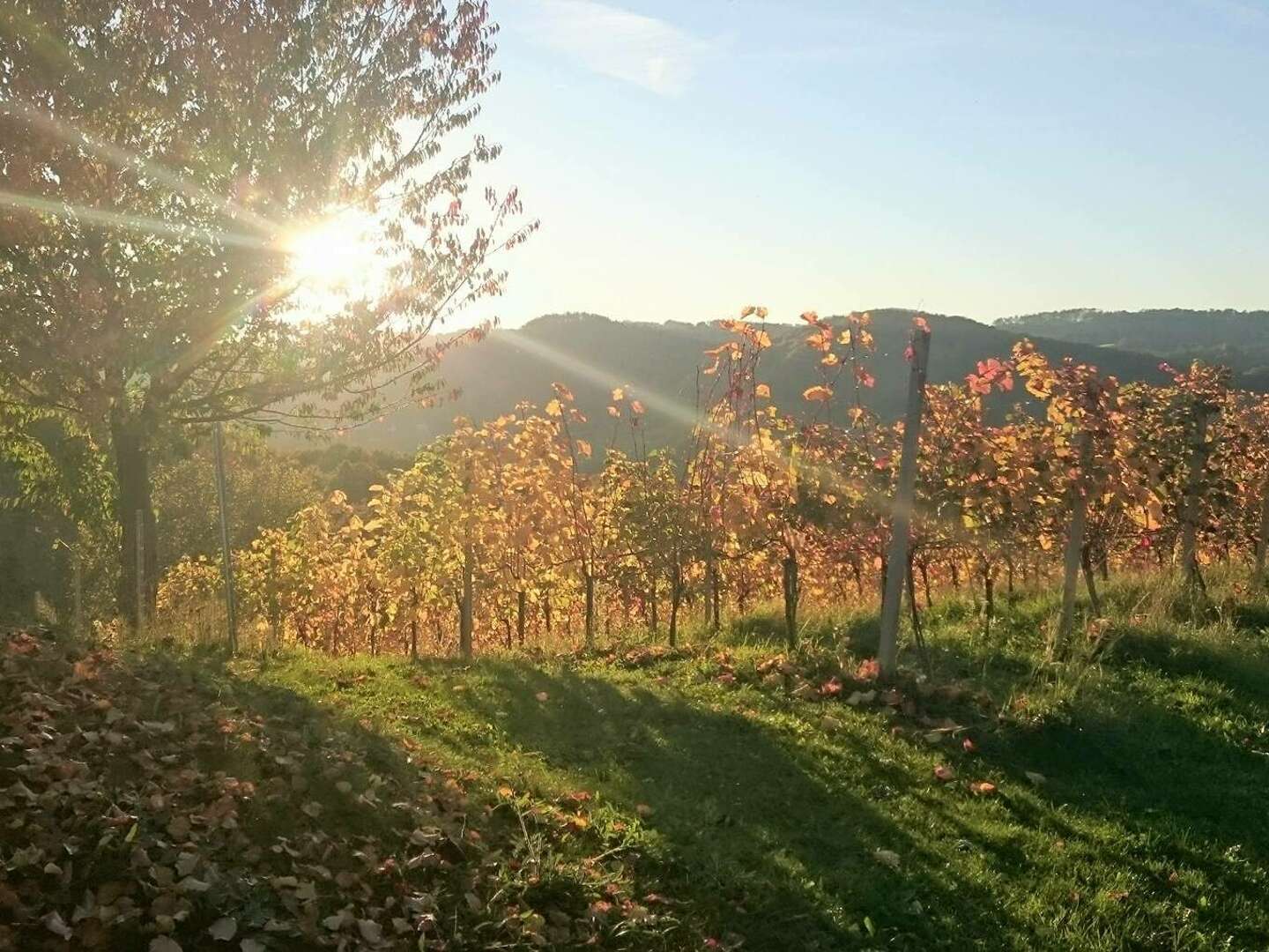 FASTEN - Unser Körper - Tempel der Seele HERBST