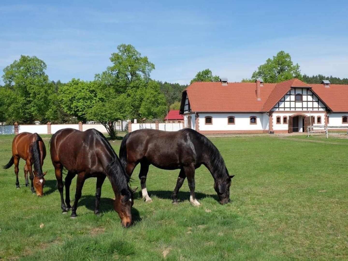 Urlaub in Landgut Wiejce | 3ÜF 