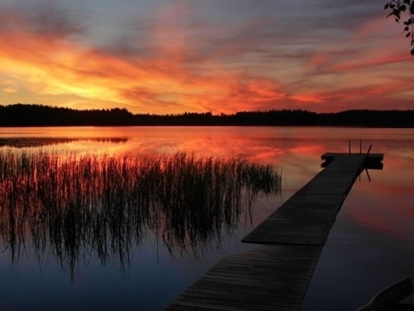 Urlaub in Landgut Wiejce | 3ÜF 