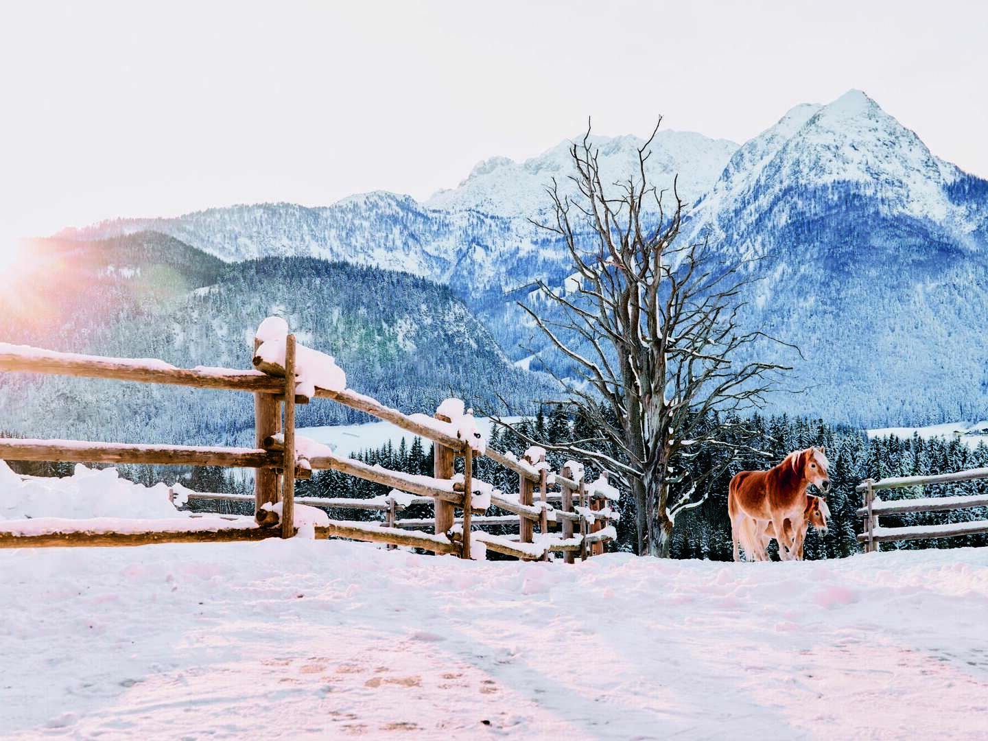 Kurzurlaub mit einzigartigem Panoramablick I 2 Nächte