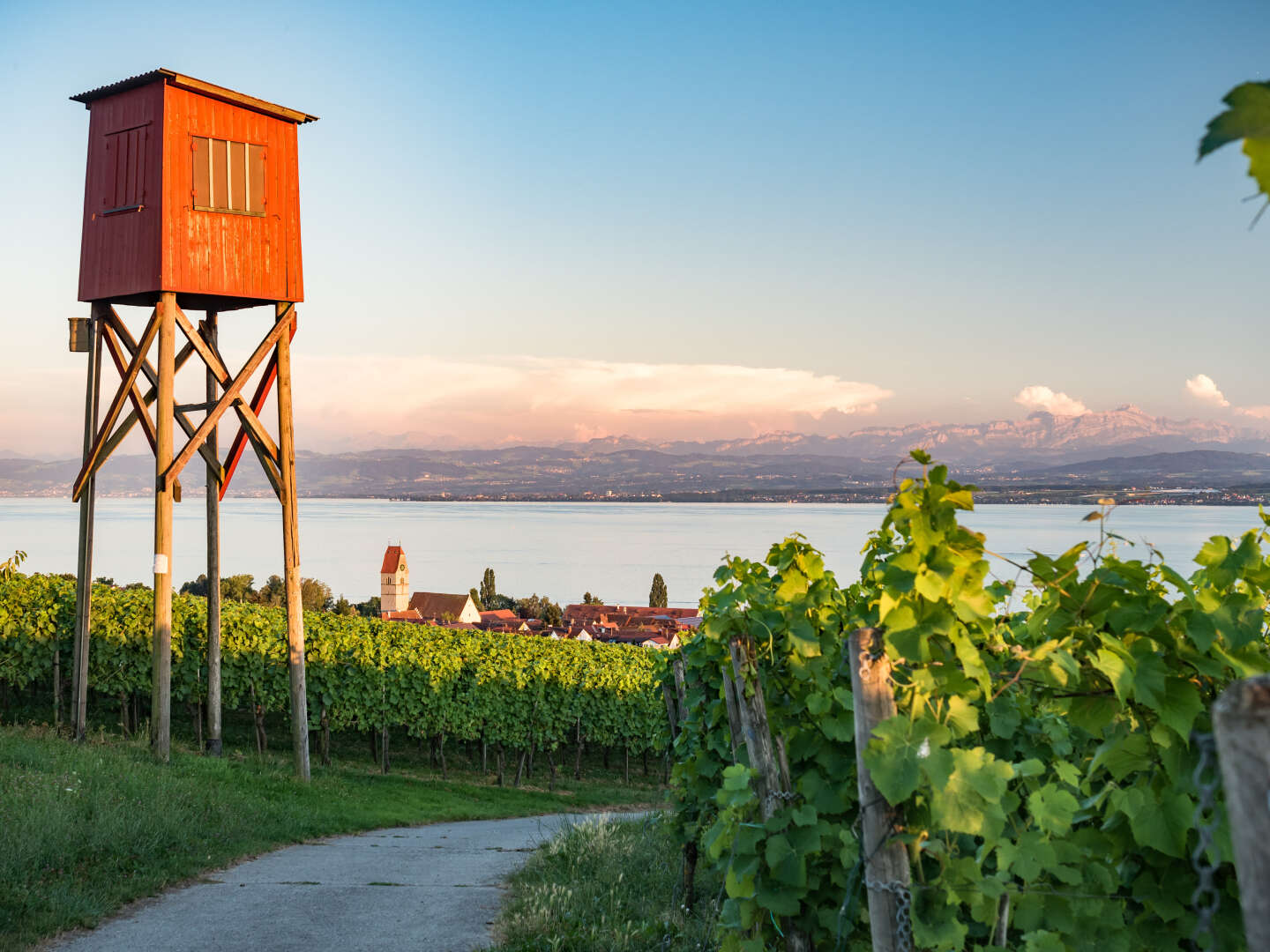 Seezeit am Bodensee