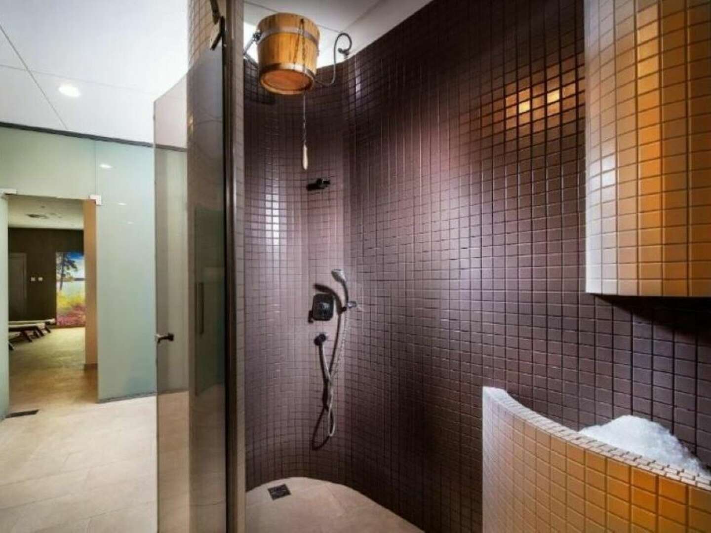 Ayurvedischer Kuraufenthalt im Reitenberger Spa Medical in Marienbad - 4 Nächte  