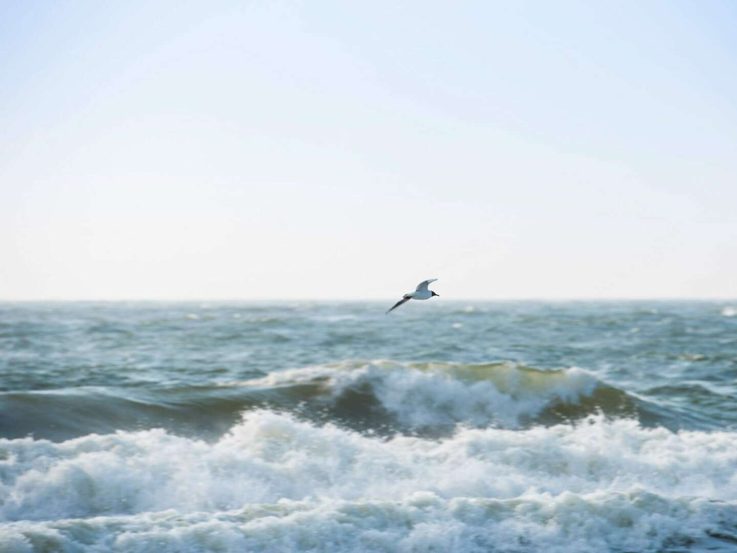 Exklusiver Kurzurlaub auf Sylt