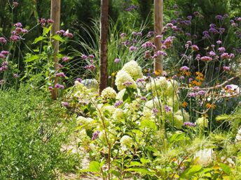 Erholen im Chalet am Gartensee inkl. Greenfee & Weinverkostung | 3 Nächte