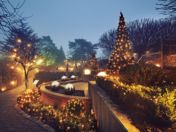 Advent-Auszeit in den Chalets am Gartensee im Kamptal inkl. Adventjause | 3 Nächte 