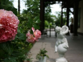 Besinnliche Adventtage in Baden – Entspannung im Apartment inkl. VIP Card | 3 Nächte