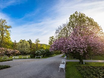 Urlaub & Erholung - Auszeit im Sinne der 