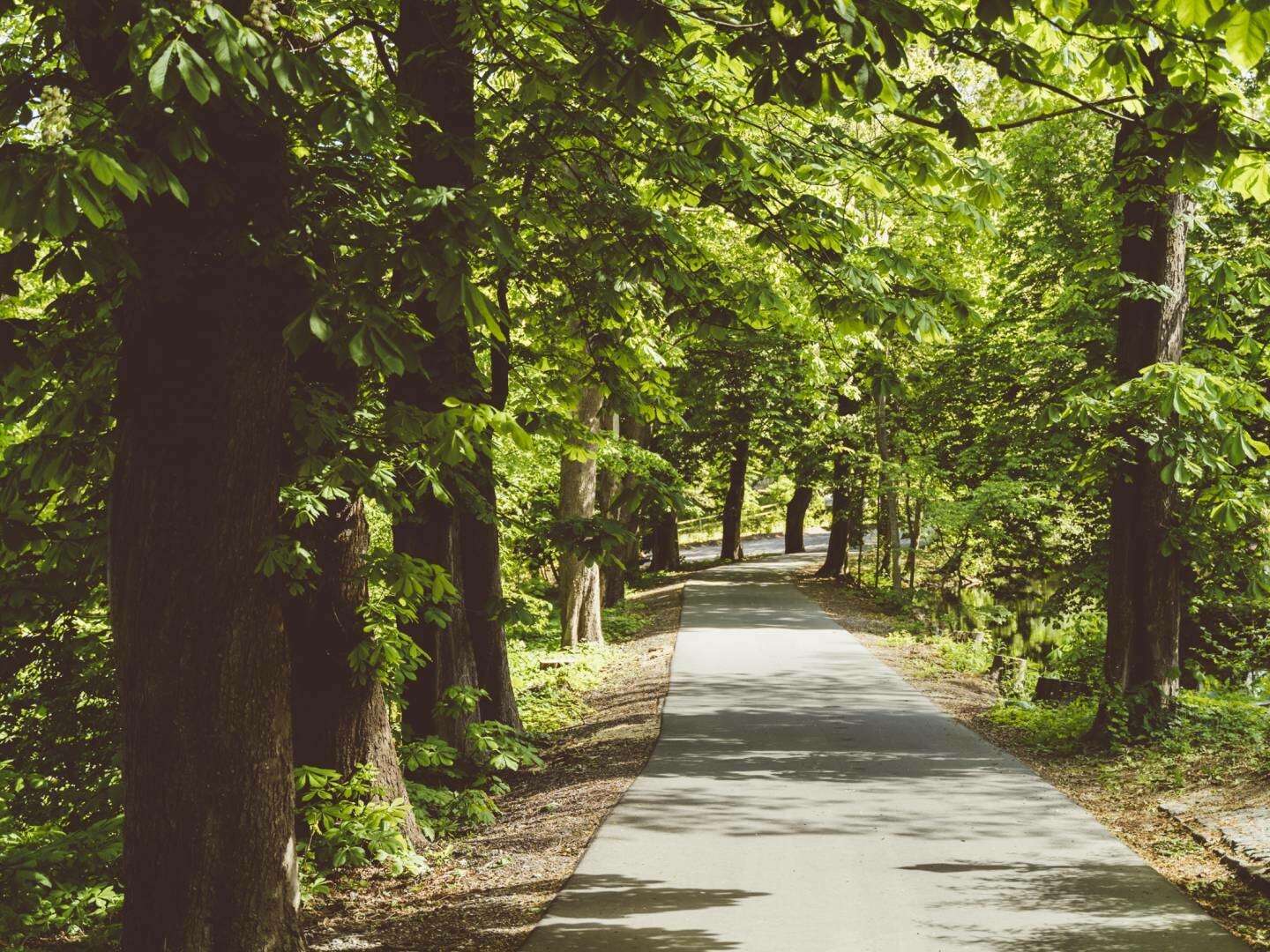 Familienzeit an der Ostsee genießen