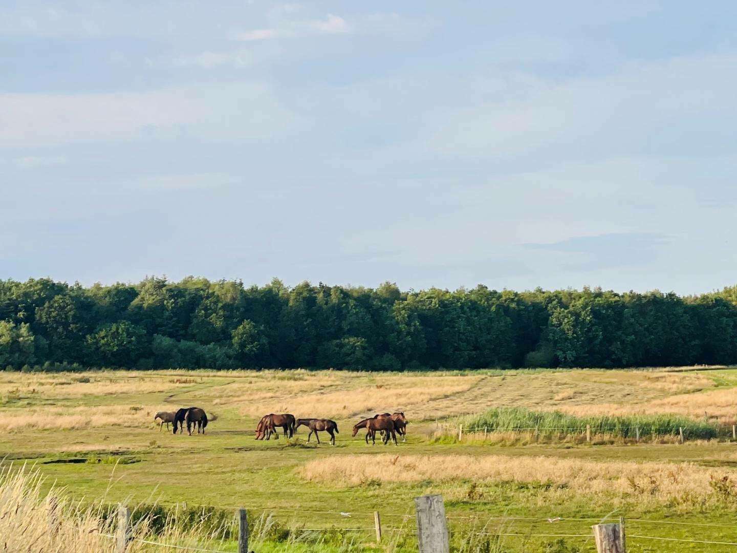 Romantische Tage an der Ostsee 