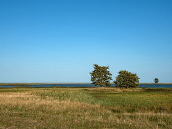 Erholungsurlaub an der Ostsee 