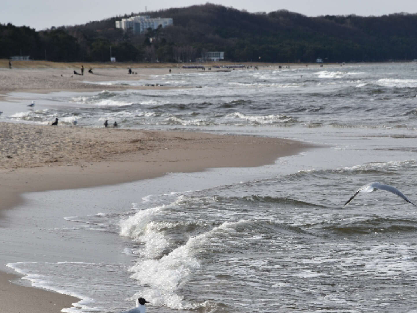 Geniessen Sie den Frühling im Ostseebad Göhren 