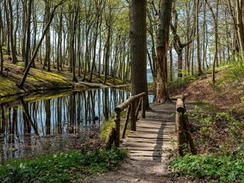 Geniessen Sie den Frühling im Ostseebad Göhren 