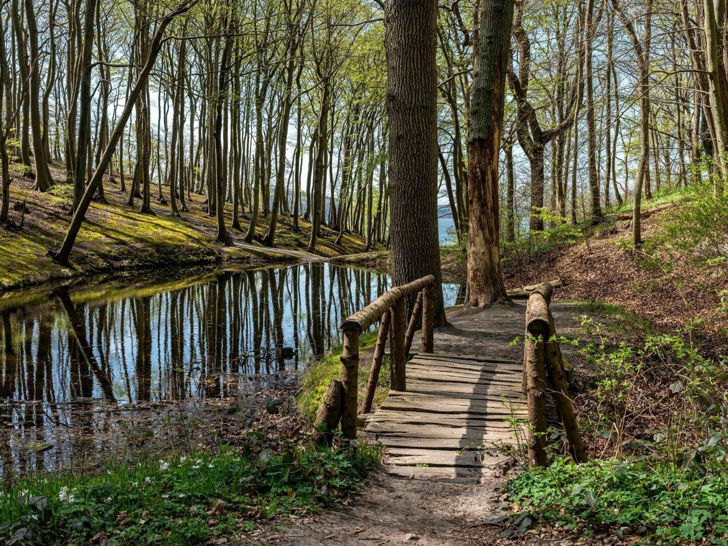 Genießen Sie den Herbst in Göhren auf der Insel Rügen