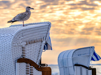 Geniessen Sie den Frühling im Ostseebad Göhren 