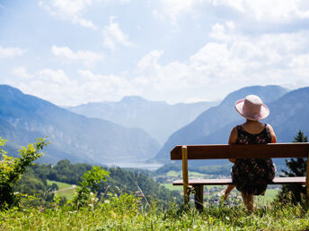 Urlaub mit Hund inkl. Halbpension bei Hallstatt | keinen Aufschlag! | 5 Nächte