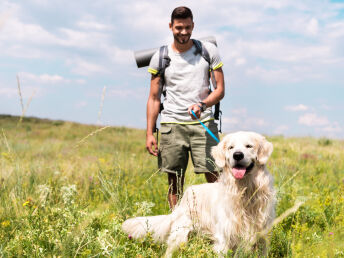 Urlaub mit Hund inkl. Halbpension bei Hallstatt | keinen Aufschlag! | 5 Nächte