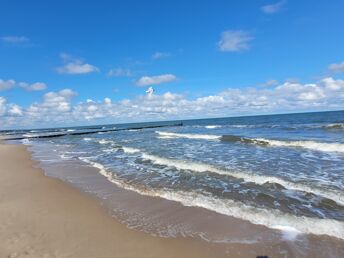 7 Tage Kurzurlaub an der Ostsee | 6 ÜHP     