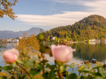 Erholungsurlaub & Wellness am Bleder See in Slowenien | 4 Nächte