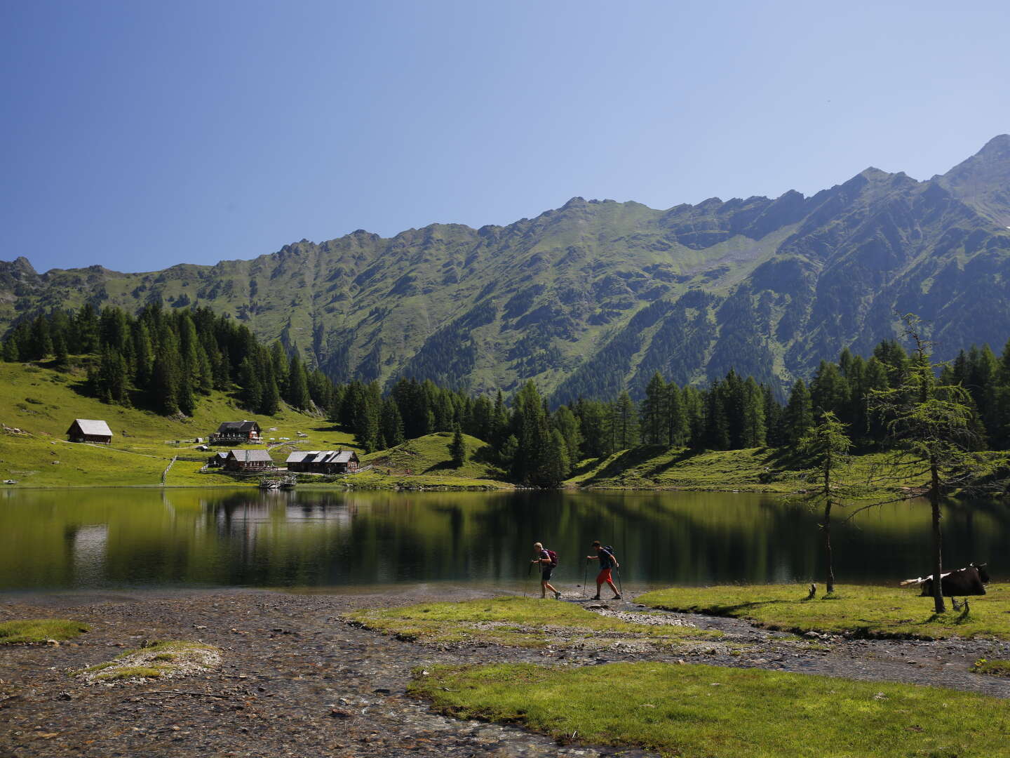 Winterglück im Ennstal inkl. Private Spa & Willkommens Getränk / 3 Tage