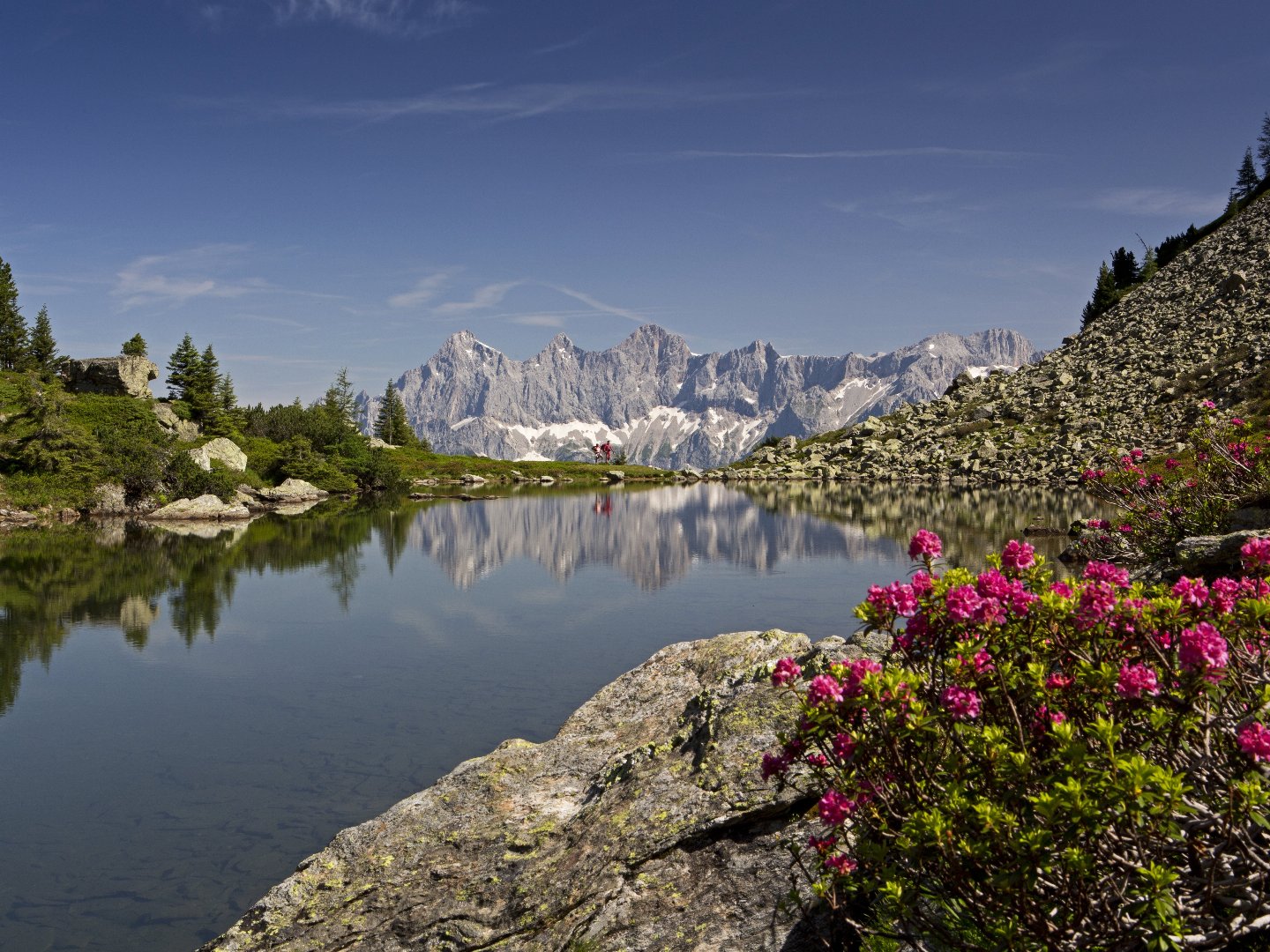 Frühlingshafte Auszeit in der Region Schladming Dachstein/ 5 Tage