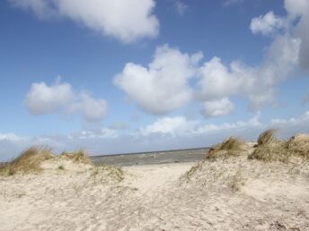 6 Tage  Maritime Auszeit - Das Weltnaturerbe Wattenmeer erleben 