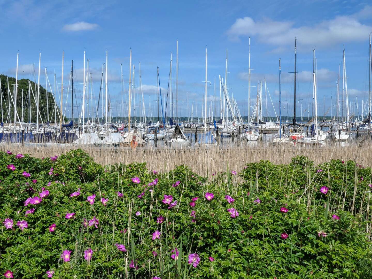 Kurzurlaub direkt am Strand von Glücksburg inkl. Abendessen