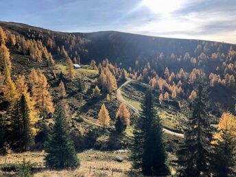 Herbstfarben im Wanderparadies Nockberge | 1. Nacht GRATIS inkl. Kärnten Card | 7 Nächte