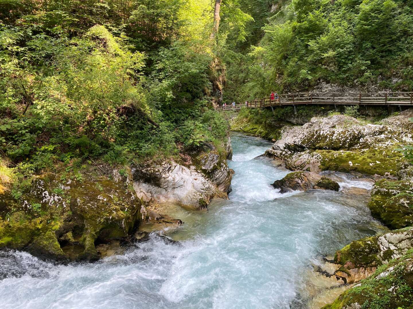 Natururlaub in der UNESCO-Welterbestätte Bled | 5 Nächte