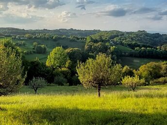 Genuss, Abenteuer & Entspannung  im Südburgenland