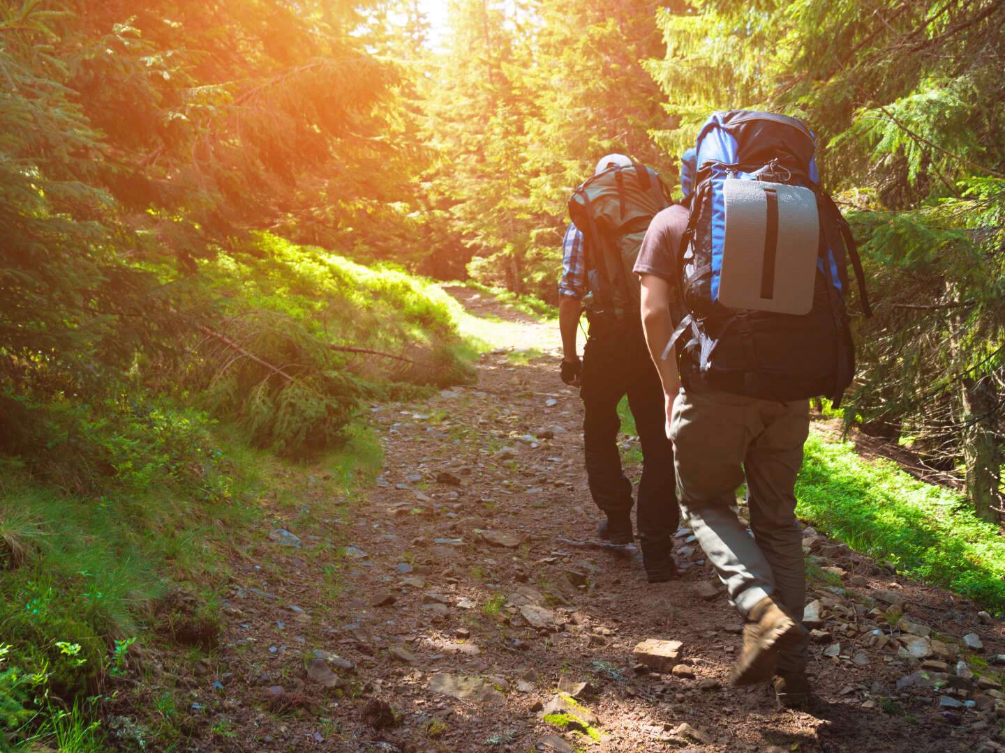 3 Tage Kurzurlaub - Auszeit vom Alltag  im Schwarzwald