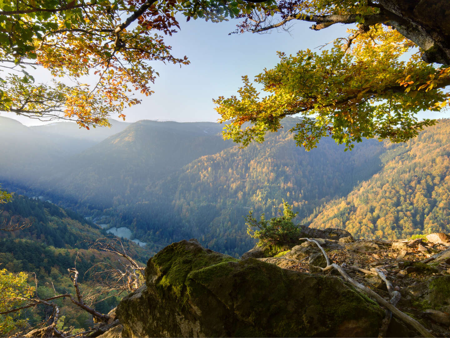 3 Tage Schwarzwald