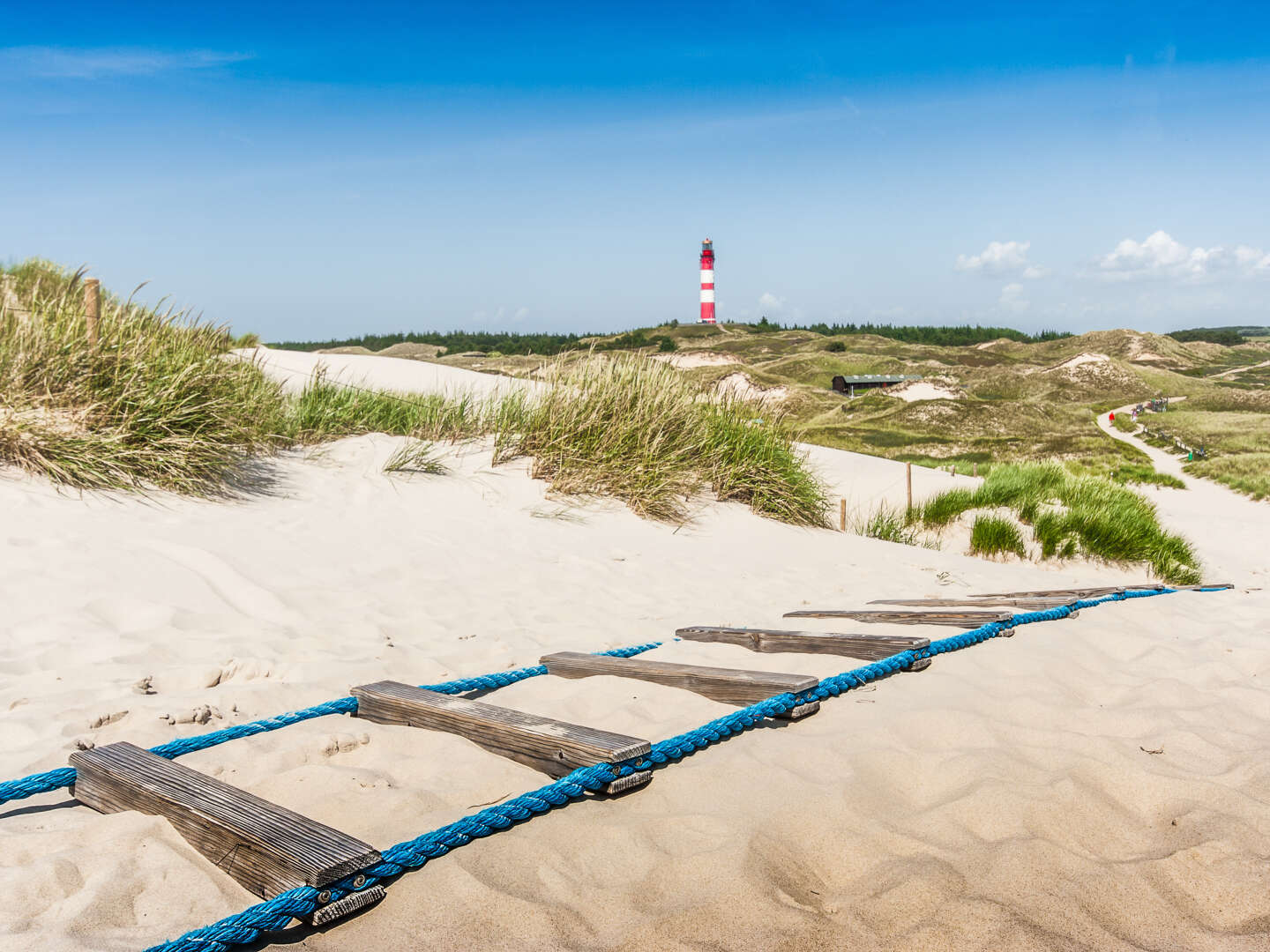 Neueröffnung****- Auszeit in Carolinensiel direkt am Nordseestrand