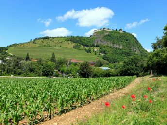 6 Tage Auszeit im Hotel Lamm in Singen 