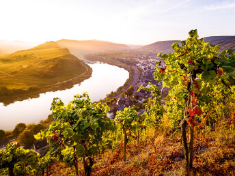 3 Tage direkt an der Mosel inkl. Vulkaneifel Therme