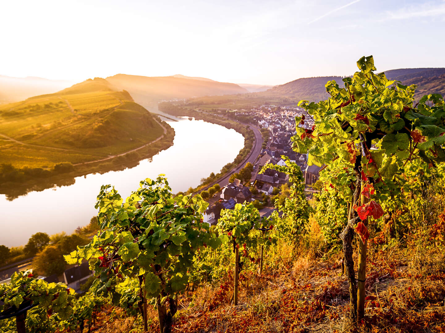 4 Tage Aktivurlaub: Entspannung am Flussufer der Mosel und Verwöhnzeit in der Vulkaneifel Therme ´25