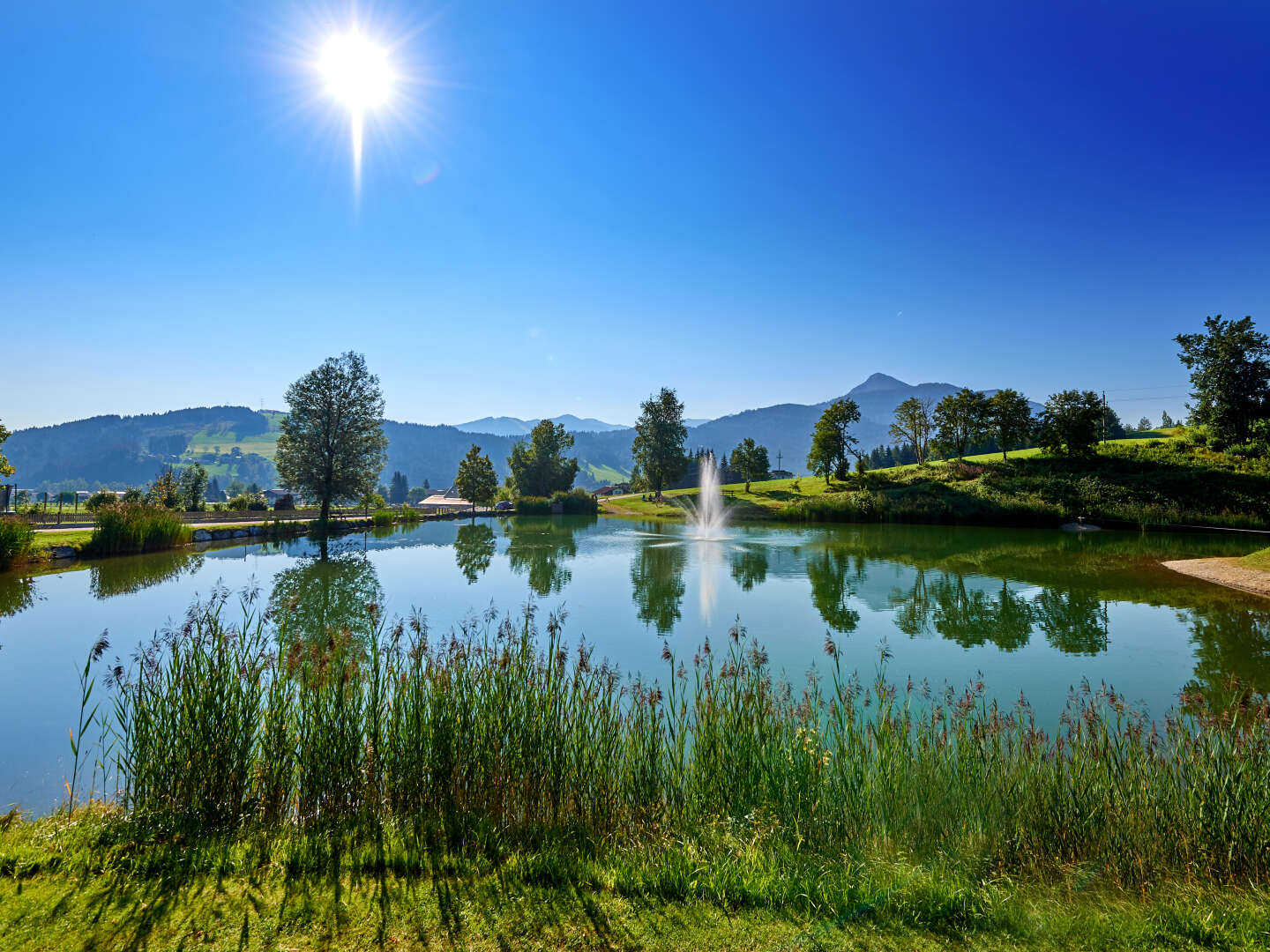 Familienurlaub in Sonnberg Flachau - Natur & Sommerspaß für alle | 7 Nächte