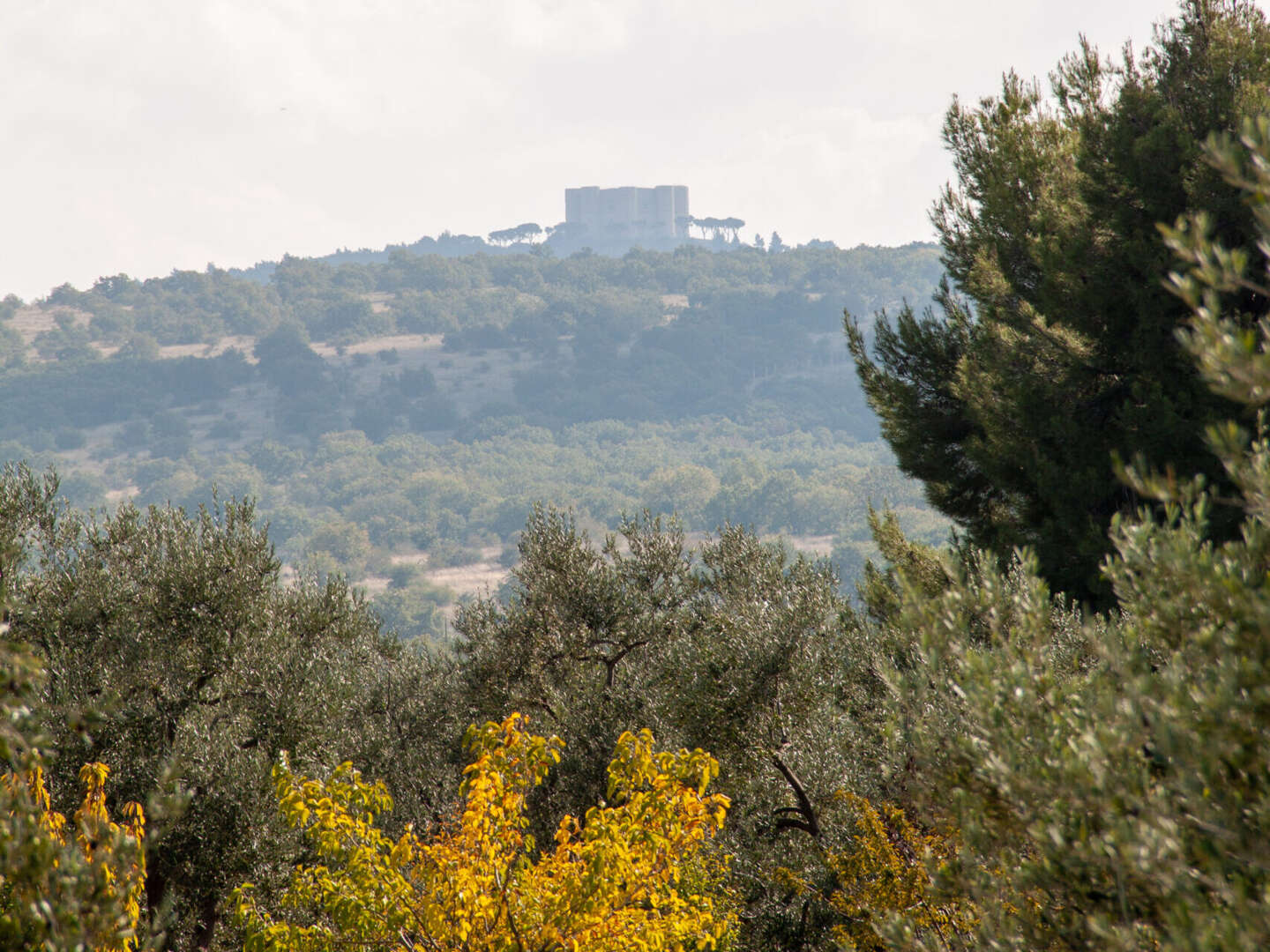 Entspannungsurlaub - Zur Ruhe kommen in der Umgebung von Castel del Monte | 2 Nächte