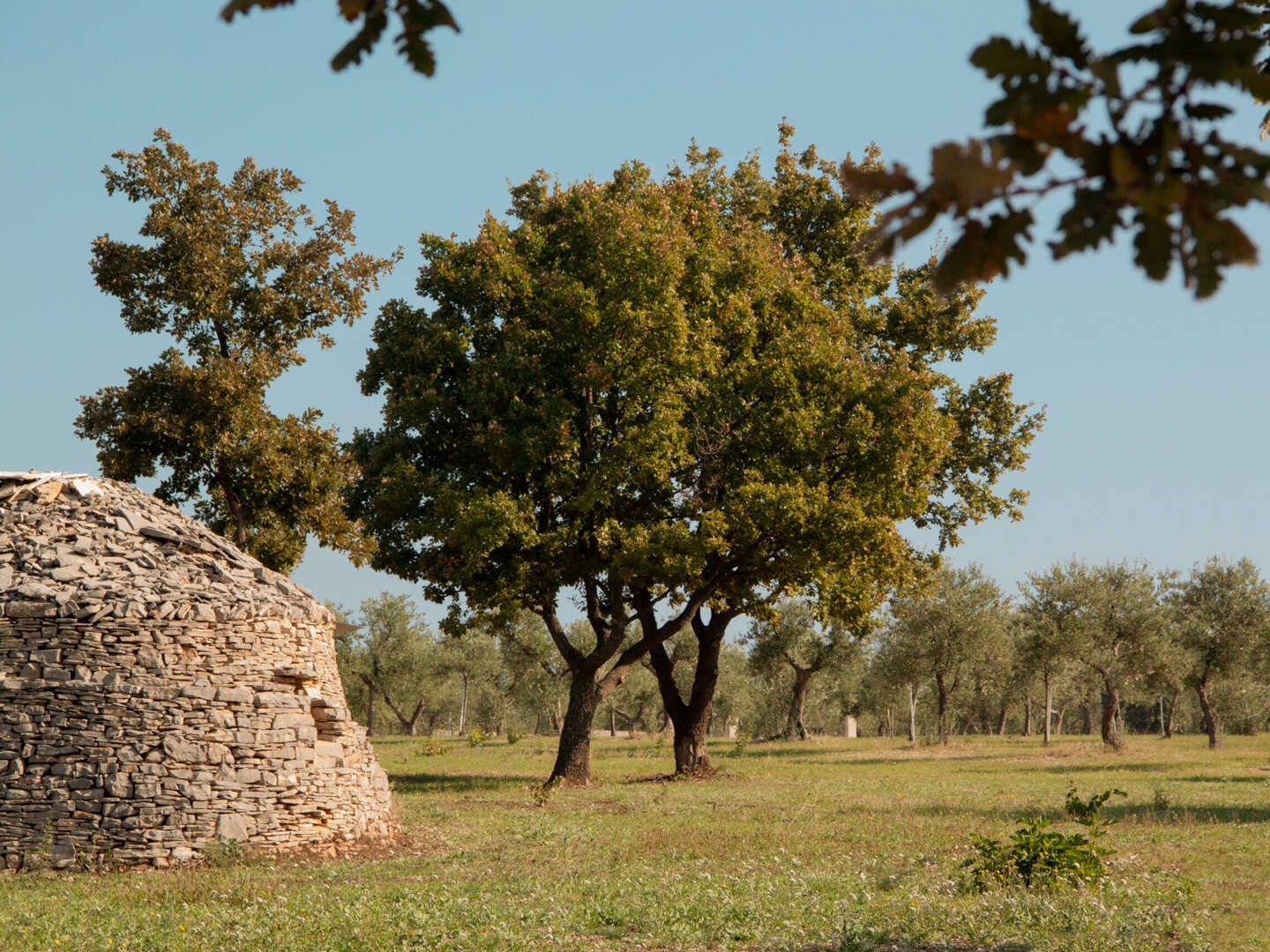 Vollendete Entspannung in Apulien nahe Castel del Monte inkl. einem Aperitivo | 5 Nächte