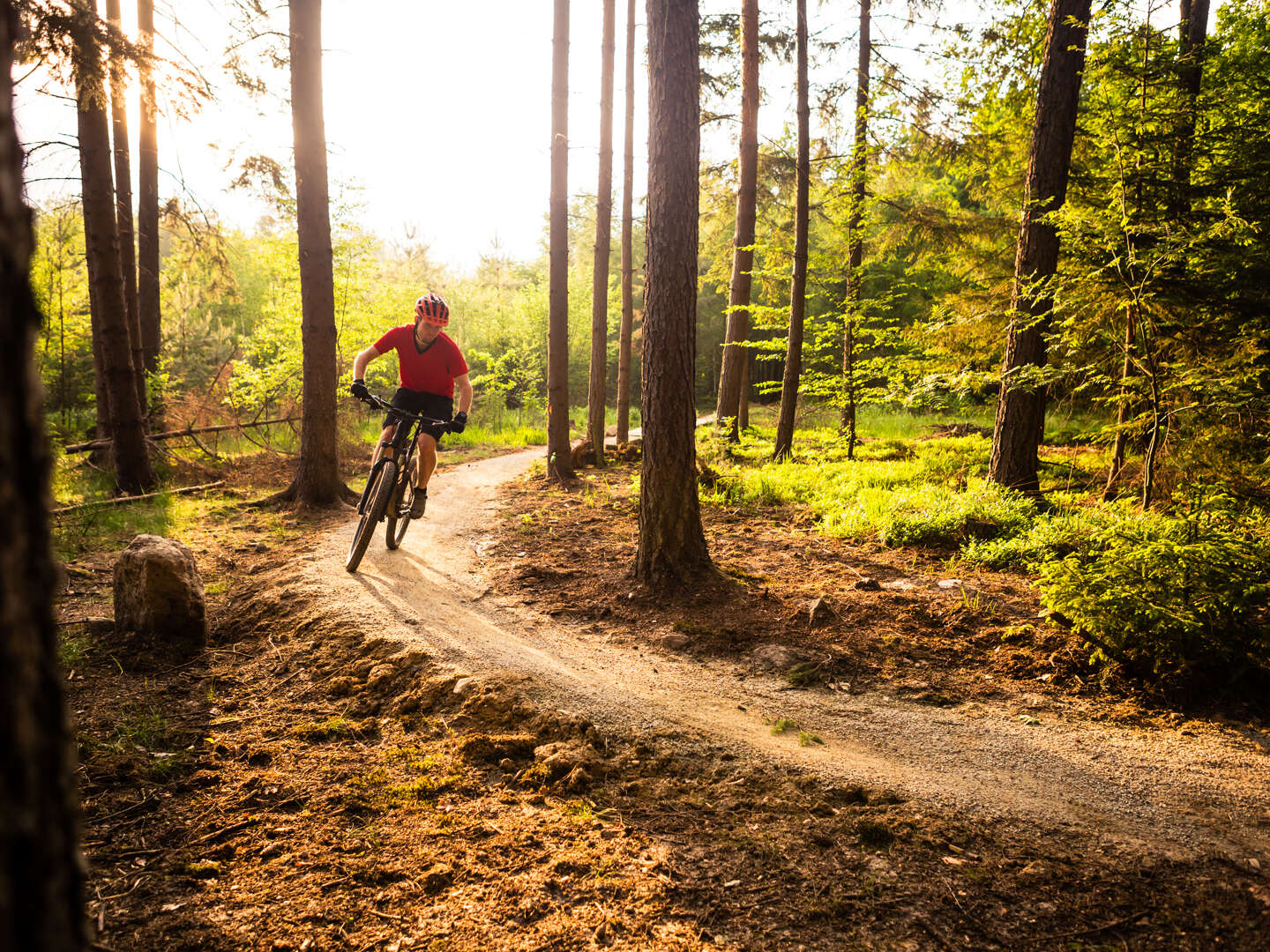 Auszeit mit dem Bike - Abenteuerurlaub in Bad Gastein | 2 Nächte