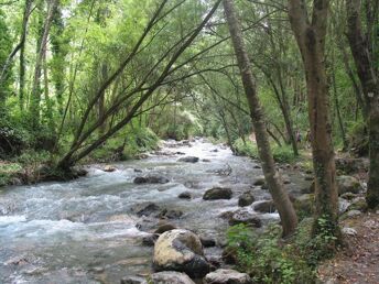 Auszeit in der Natur - Erholungsurlaub am italienischen Bio-Bauernhof| 2 Nächte