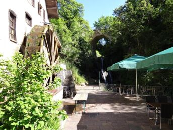 Auszeit pur zwischen Schwarzwald & Bodensee 