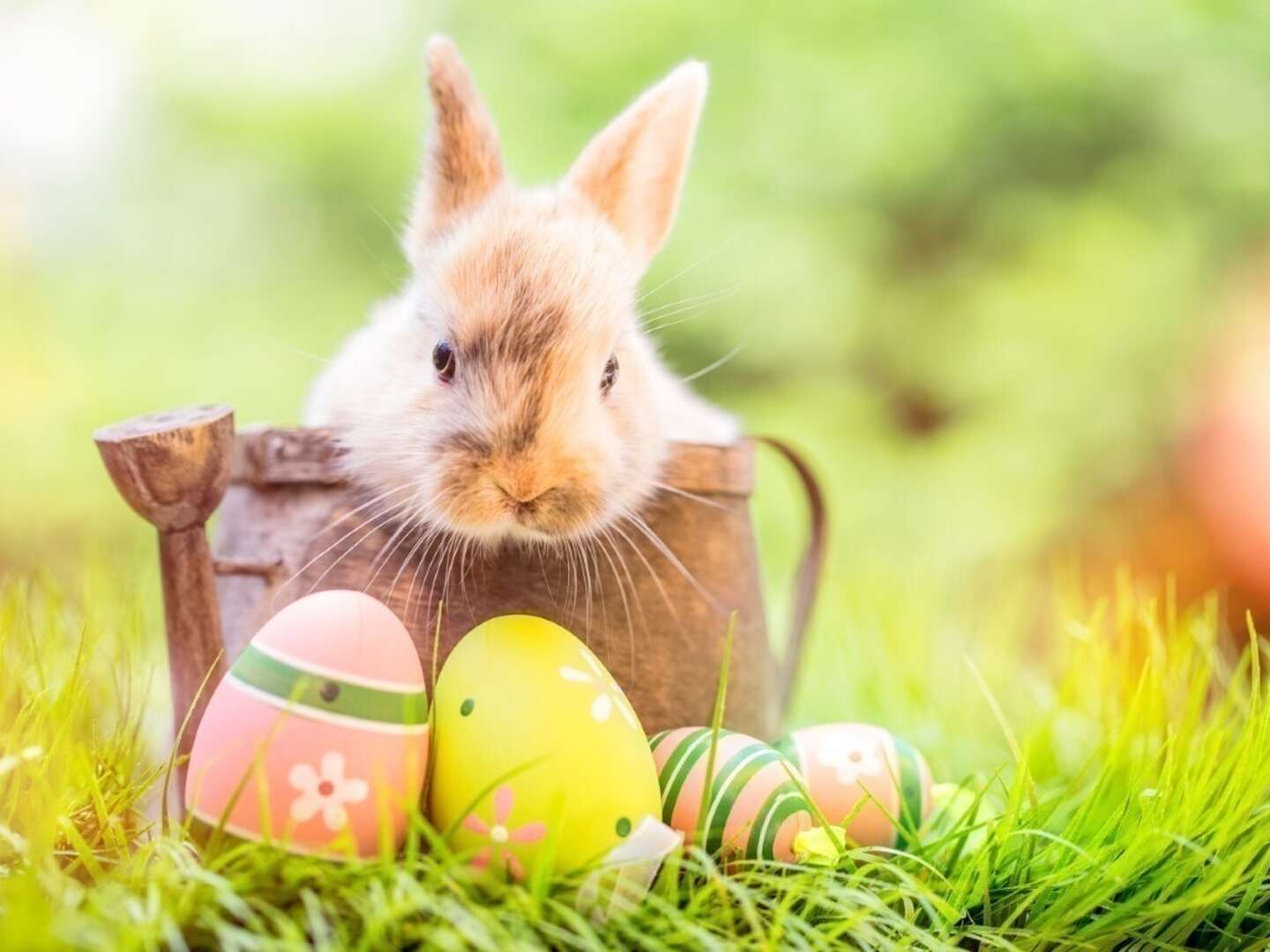 Ostern am Bodensee