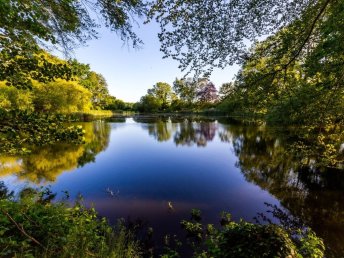 Silvester an der Müritz I 3 Nächte