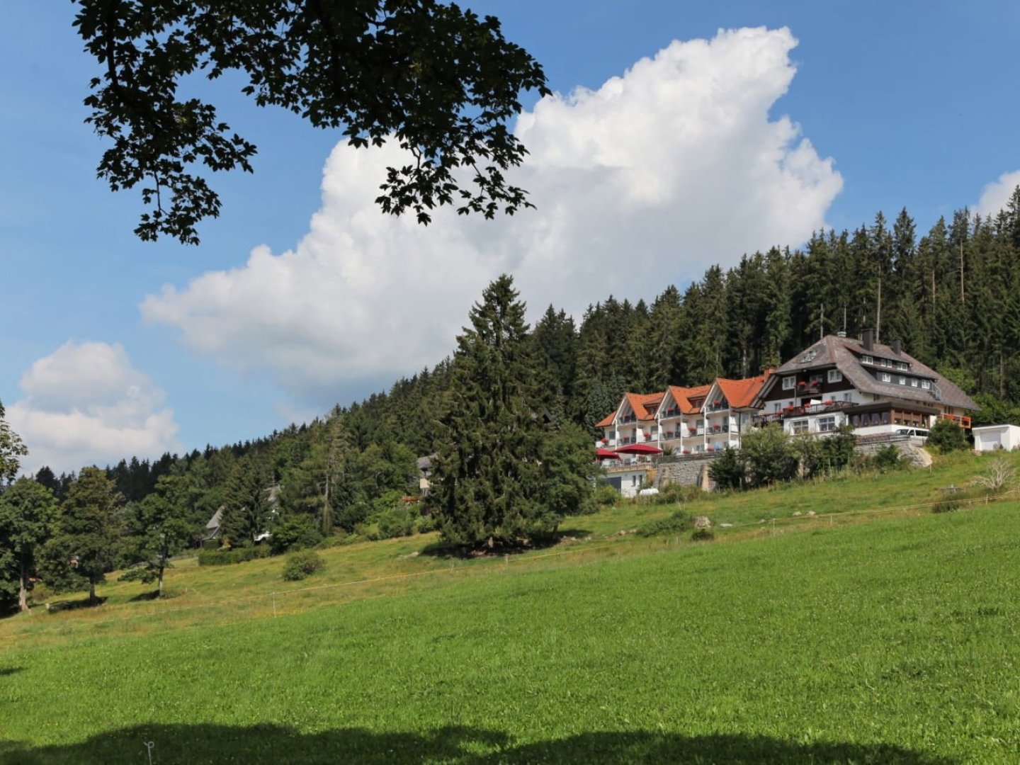 Erholsame Auszeit vom Alltag im Schwarzwald I 5 Nächte 